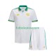 Tercera Equipación del AS Roma 2025-2026 Manga Corta para Niño (Camiseta y pantalón) Tercera Equipación del AS Roma 2025-2026 Manga Corta para Niño (Camiseta y pantalón)
