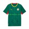 Segunda Equipación del Senegal 2026 2027 Manga Corta para Hombre